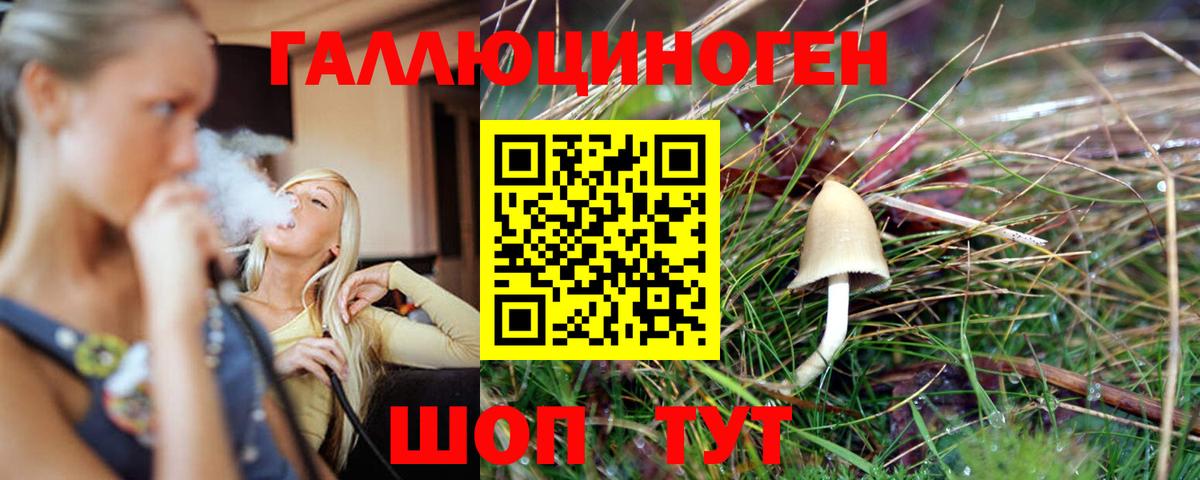 Псилоцибиновые грибы Magic Shrooms  Вход с VPN  Тара 