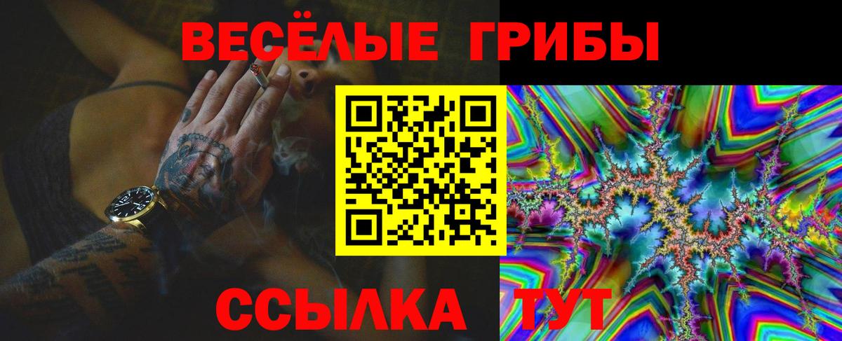 Галлюциногенные грибы Psilocybine cubensis Тара